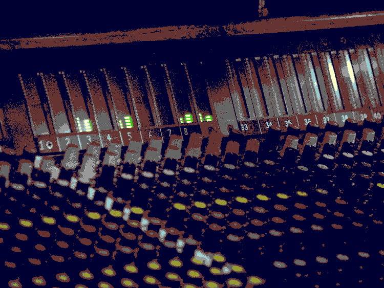 Music (digital download and cd's)